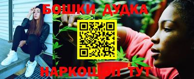 молекула духа Будённовск
