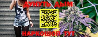 молекула духа Будённовск