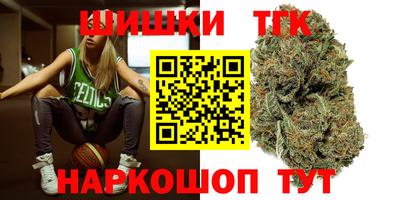 молекула духа Будённовск
