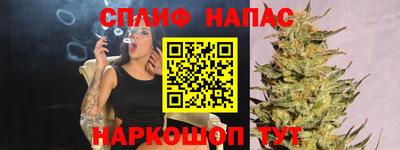 молекула духа Будённовск