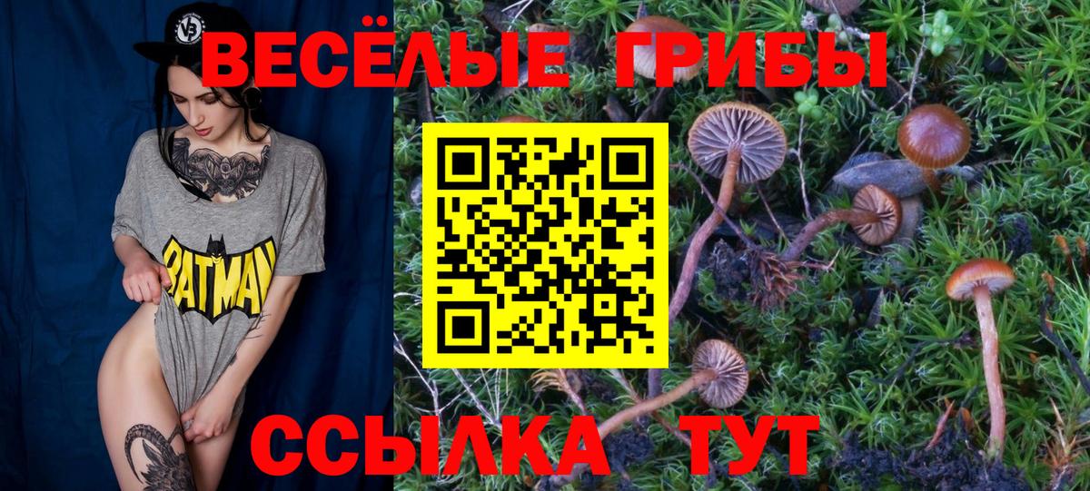 Псилоцибиновые грибы Magic Shrooms Благовещенск