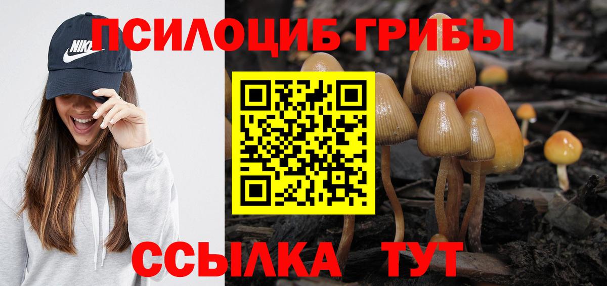 Псилоцибиновые грибы Psilocybine cubensis  Псилоцибиновые грибы MAGIC MUSHROOMS  Благовещенск  Вход с VPN 